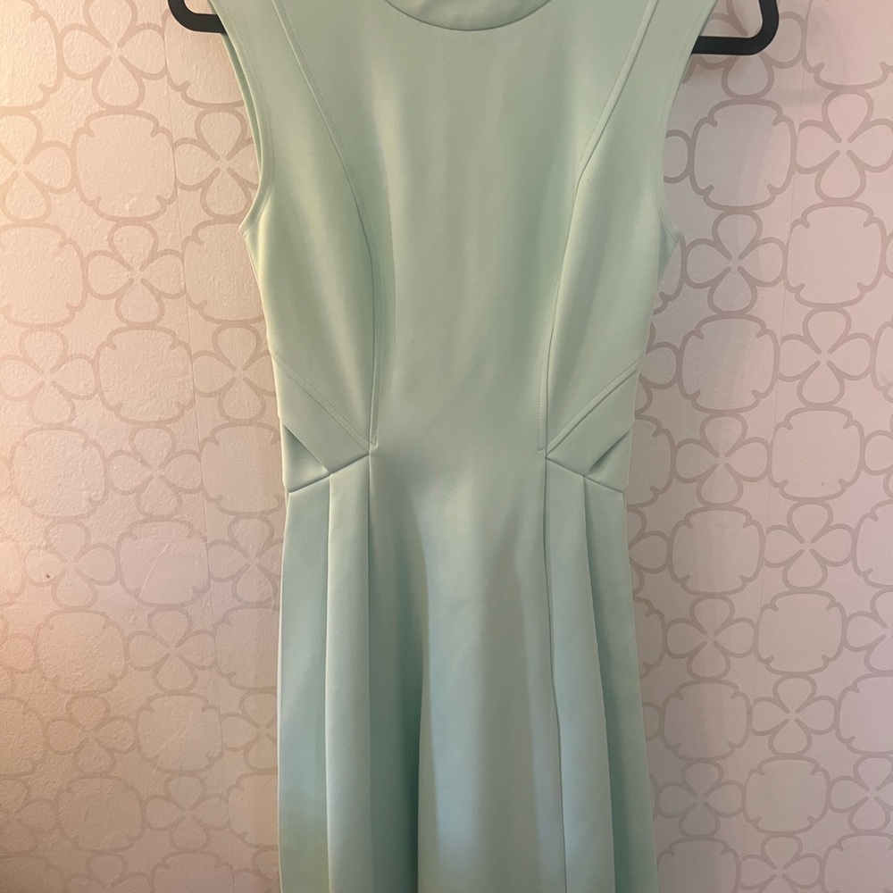 Ted Baker Mint Green Sleeveless Dress with contrasting zipper - Picture 4 of 10